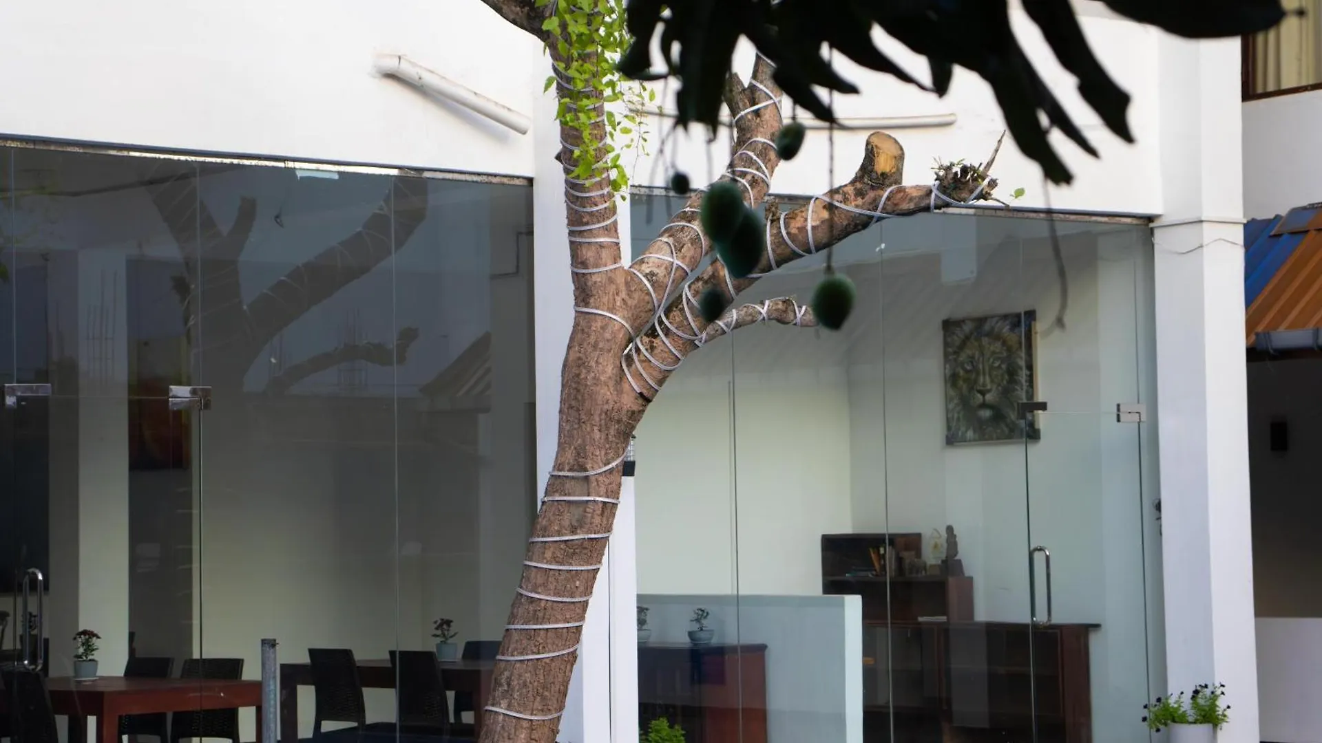 Woodnest Windmill Beach Hotel Negombo