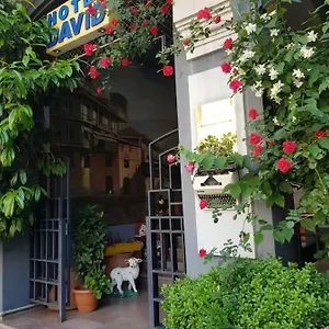 David - Ethno Style Hotel Tbilissi